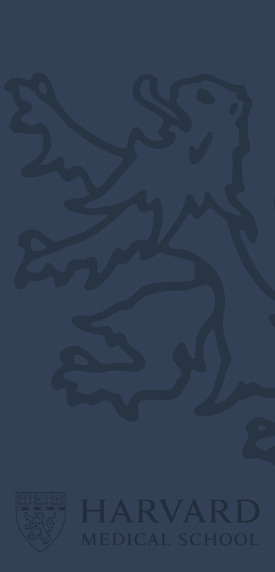 Blue banner with grey outlined HMS lion, and HMS logo at bottom