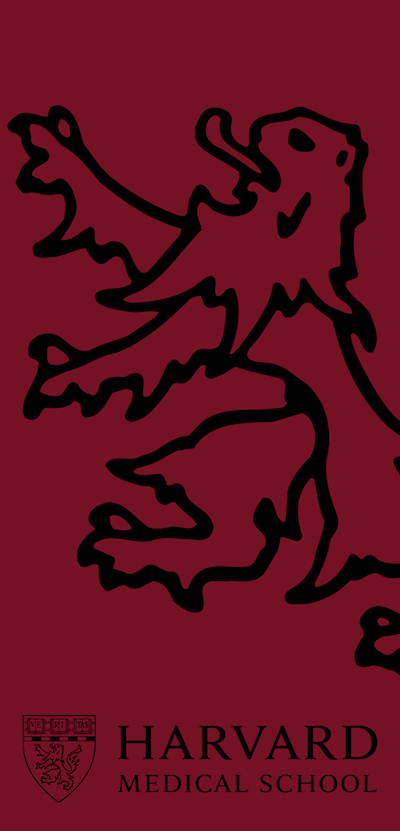 Crimson banner with black outlined HMS lion, and HMS logo at bottom