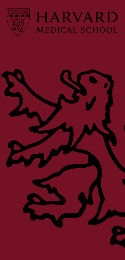 Crimson banner with black outlined HMS lion, and HMS logo at top