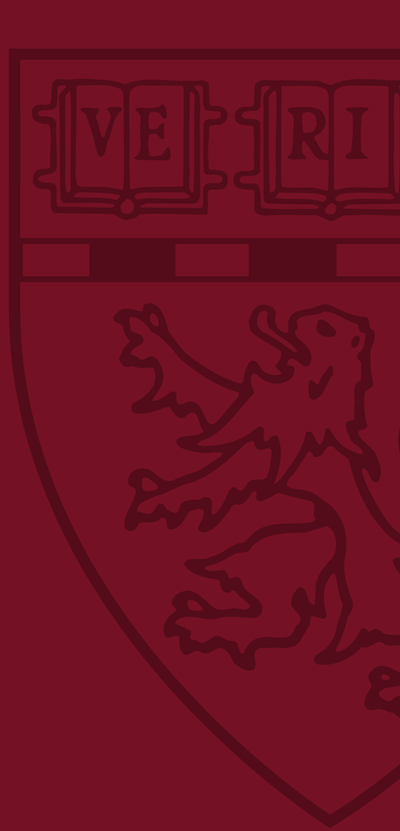 Crimson banner with greyoutlined HMS shield