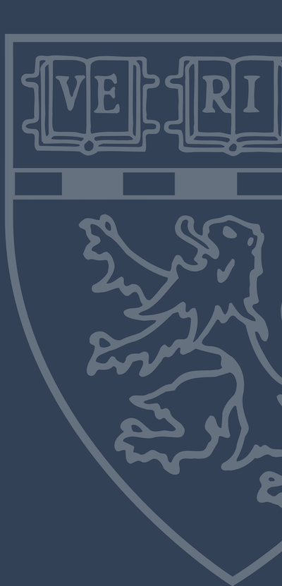 Blue banner with faded white outlined HMS shield