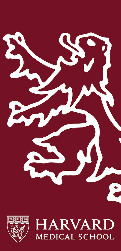Crimson banner with white outlined HMS lion, and HMS logo at bottom