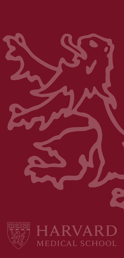 Crimson banner with faded white outlined HMS lion, and HMS logo at bottom
