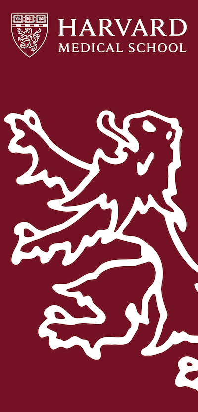 Crimson banner with white outlined HMS lion, and HMS logo at top